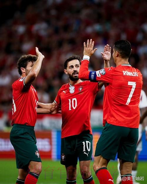 本届世界杯比利时C罗焦点对决全面分析